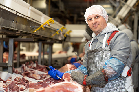 ГК «Талина» открывает новый континент: стартовали первые поставки российской свинины в Африку